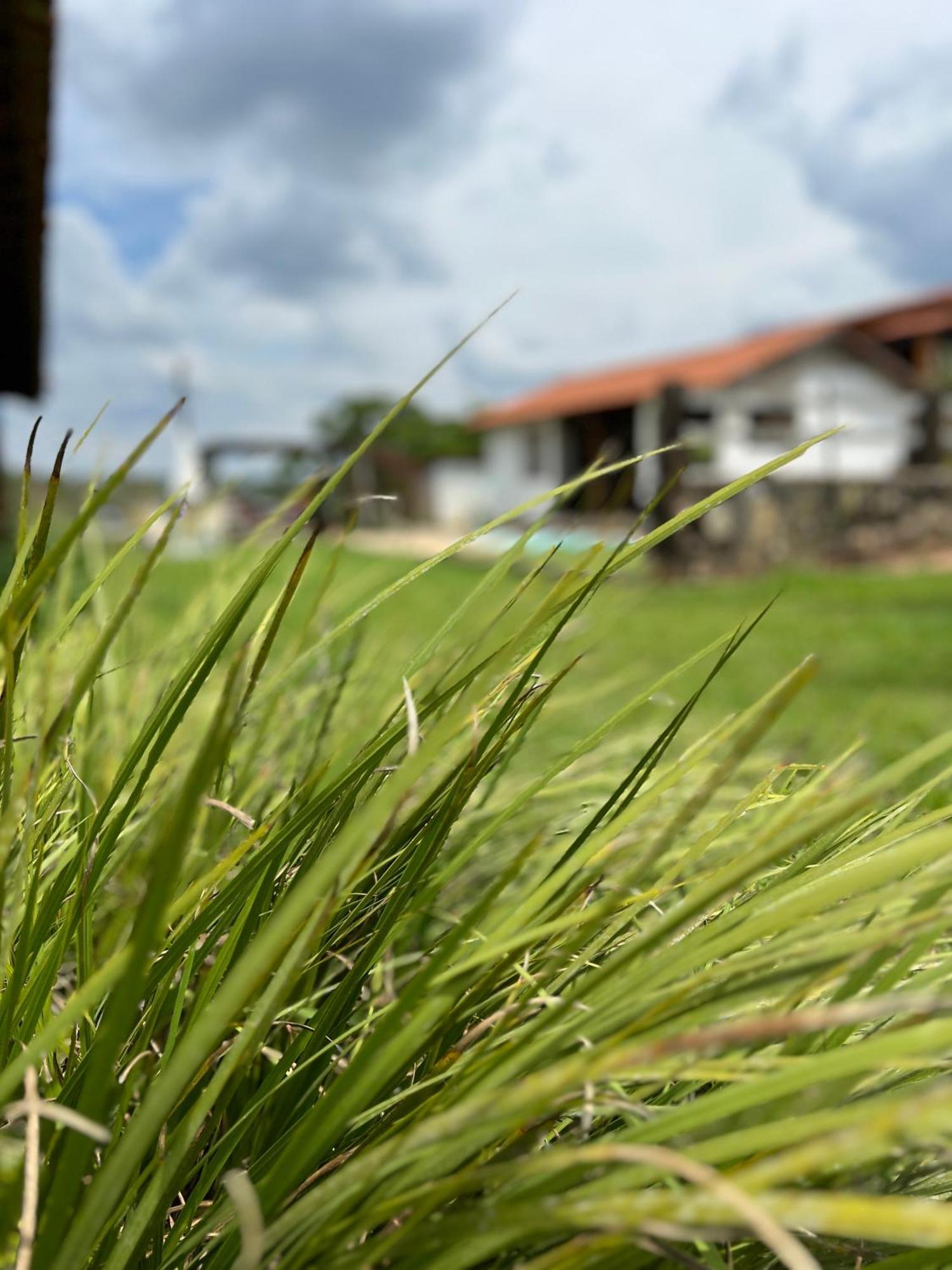 Fazenda Do Engenho Hotel Santa Rita do Rio Abaixo Ngoại thất bức ảnh