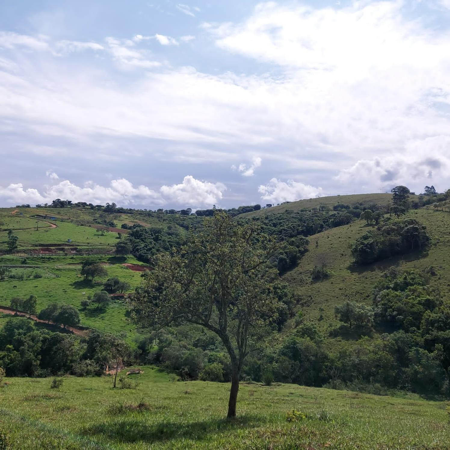 Fazenda Do Engenho Hotel Santa Rita do Rio Abaixo Ngoại thất bức ảnh