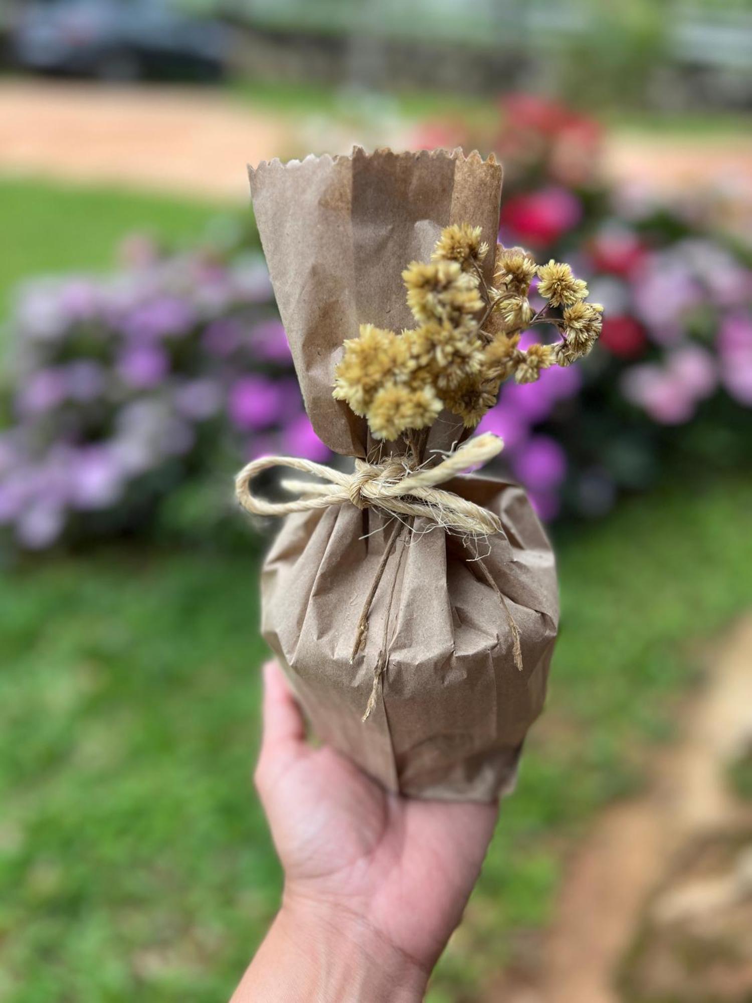 Fazenda Do Engenho Hotel Santa Rita do Rio Abaixo Ngoại thất bức ảnh