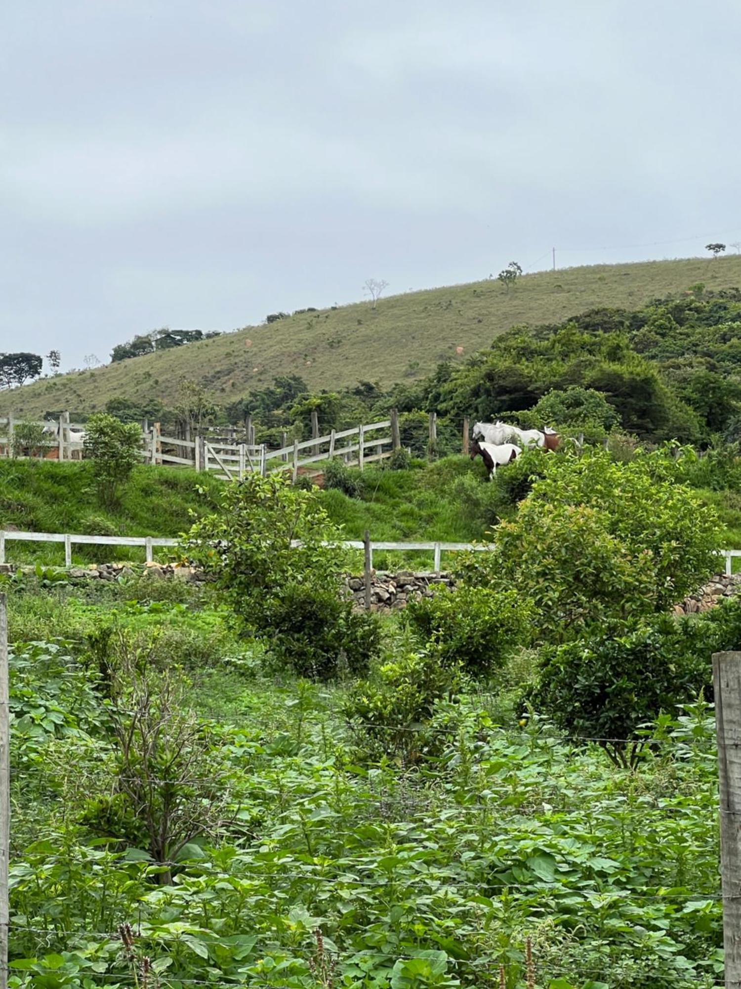 Fazenda Do Engenho Hotel Santa Rita do Rio Abaixo Ngoại thất bức ảnh