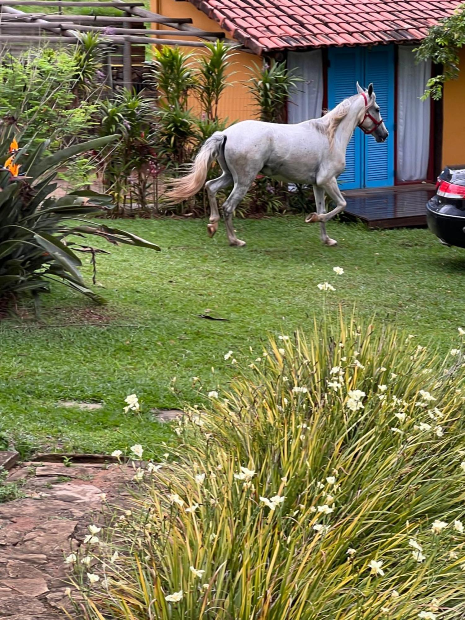 Fazenda Do Engenho Hotel Santa Rita do Rio Abaixo Ngoại thất bức ảnh