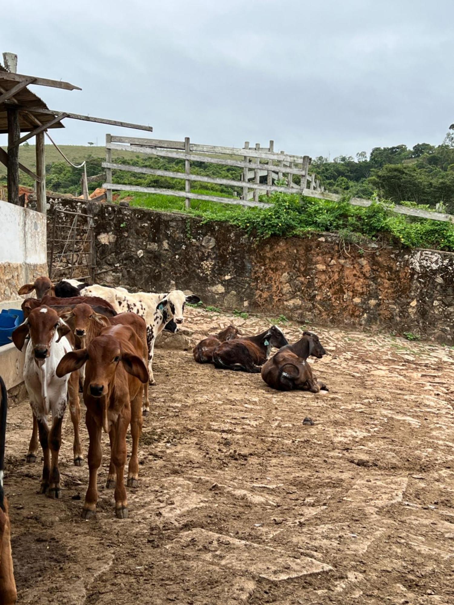 Fazenda Do Engenho Hotel Santa Rita do Rio Abaixo Ngoại thất bức ảnh