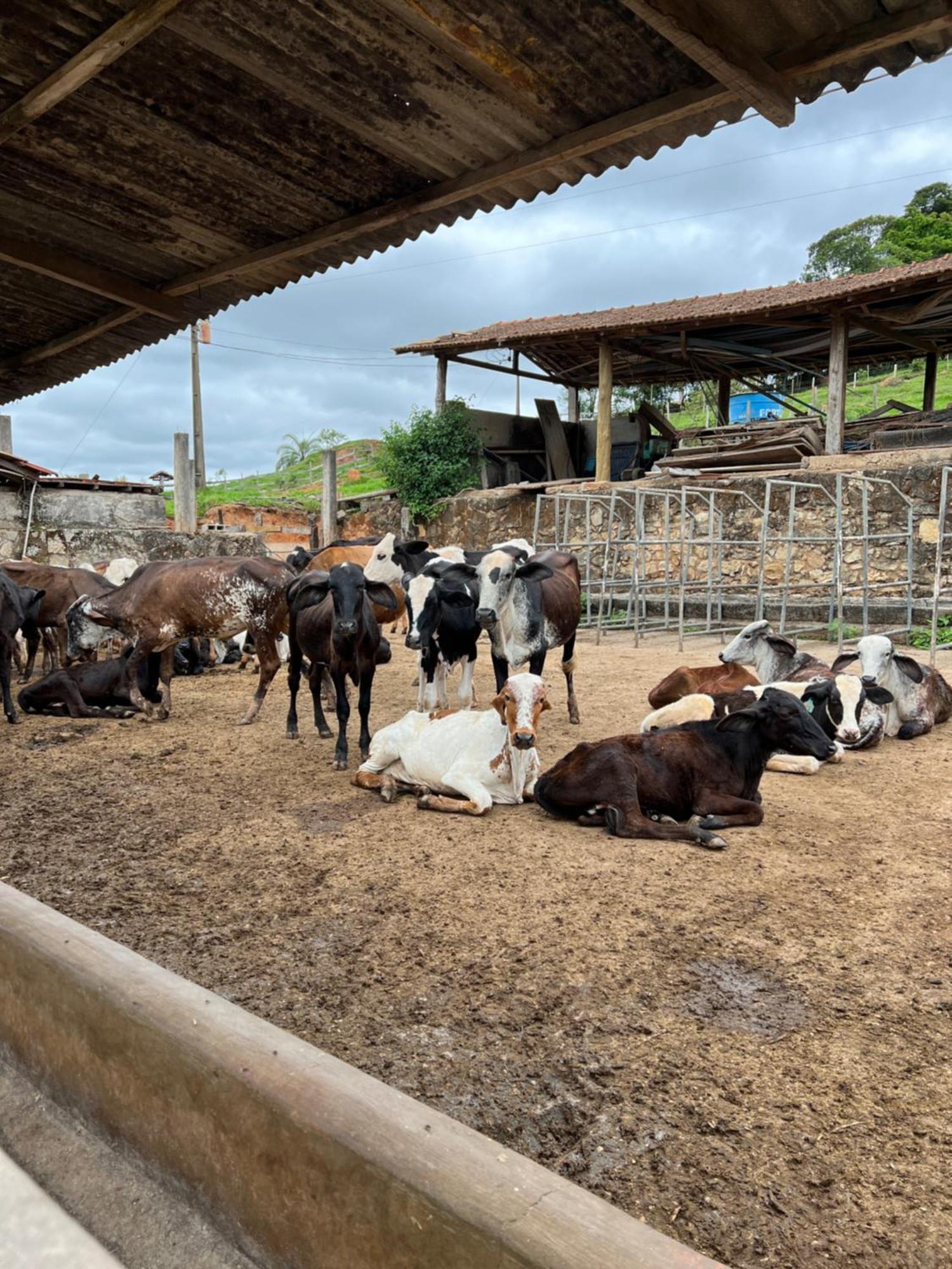 Fazenda Do Engenho Hotel Santa Rita do Rio Abaixo Ngoại thất bức ảnh