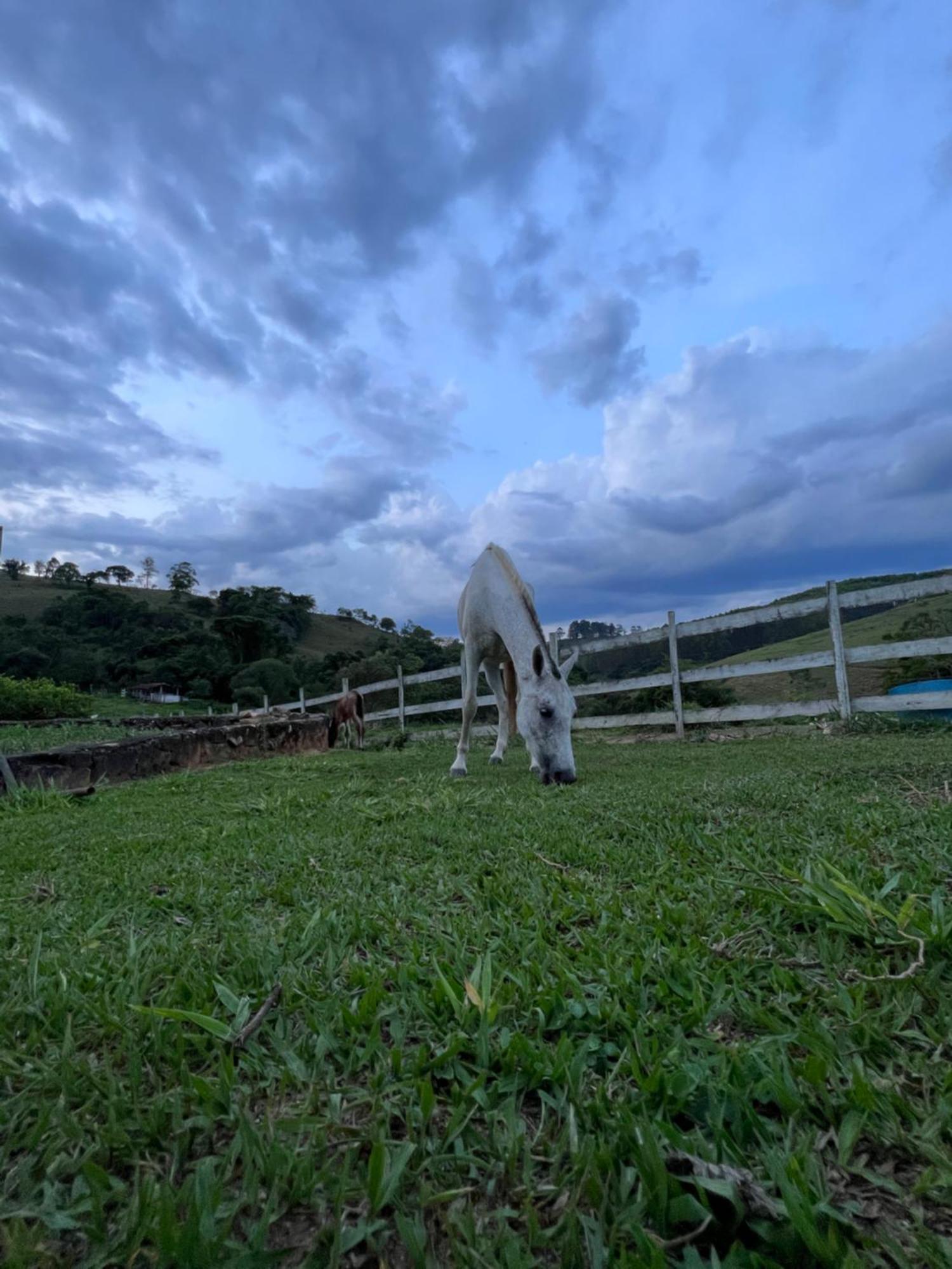 Fazenda Do Engenho Hotel Santa Rita do Rio Abaixo Ngoại thất bức ảnh