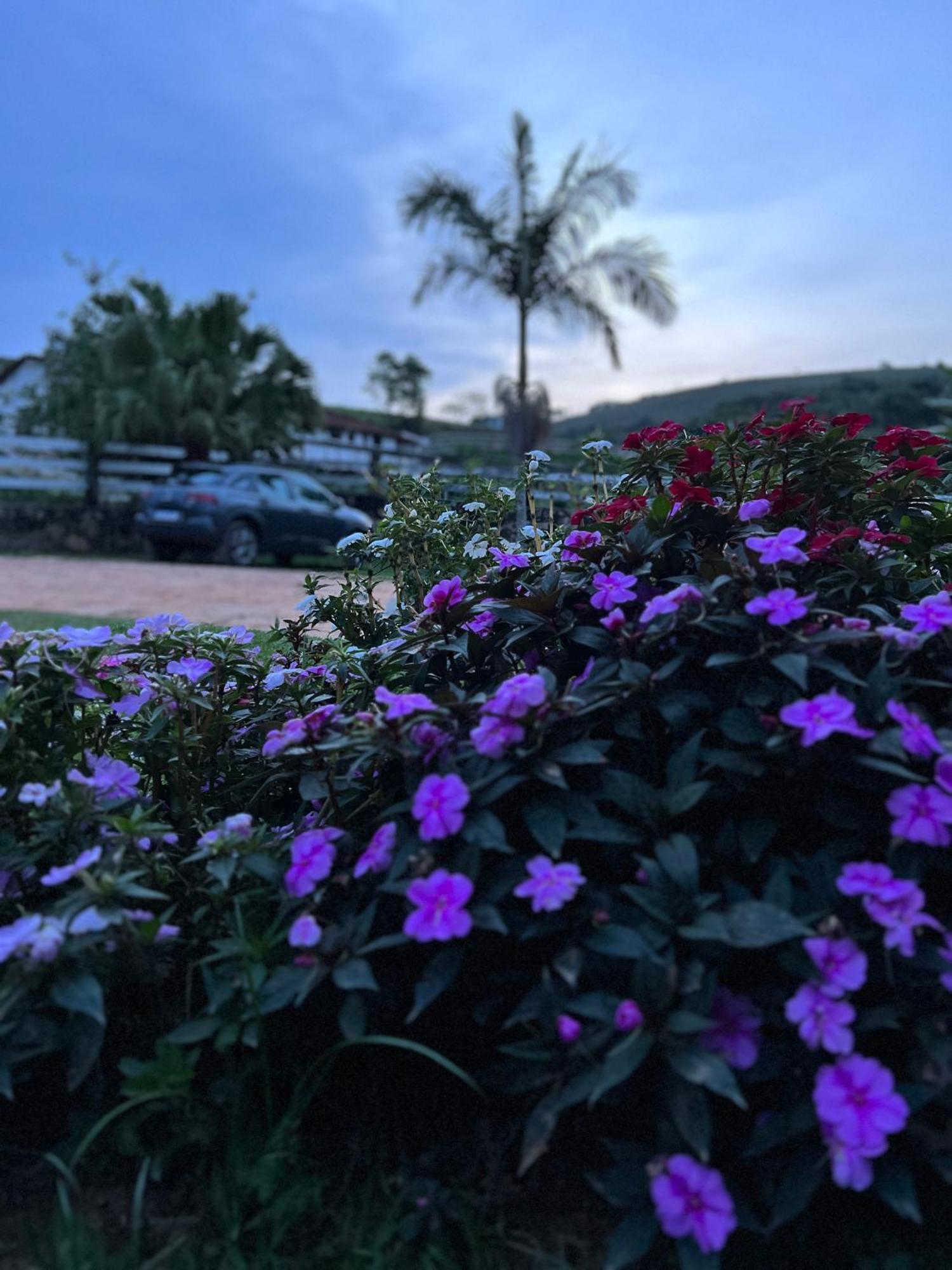 Fazenda Do Engenho Hotel Santa Rita do Rio Abaixo Ngoại thất bức ảnh