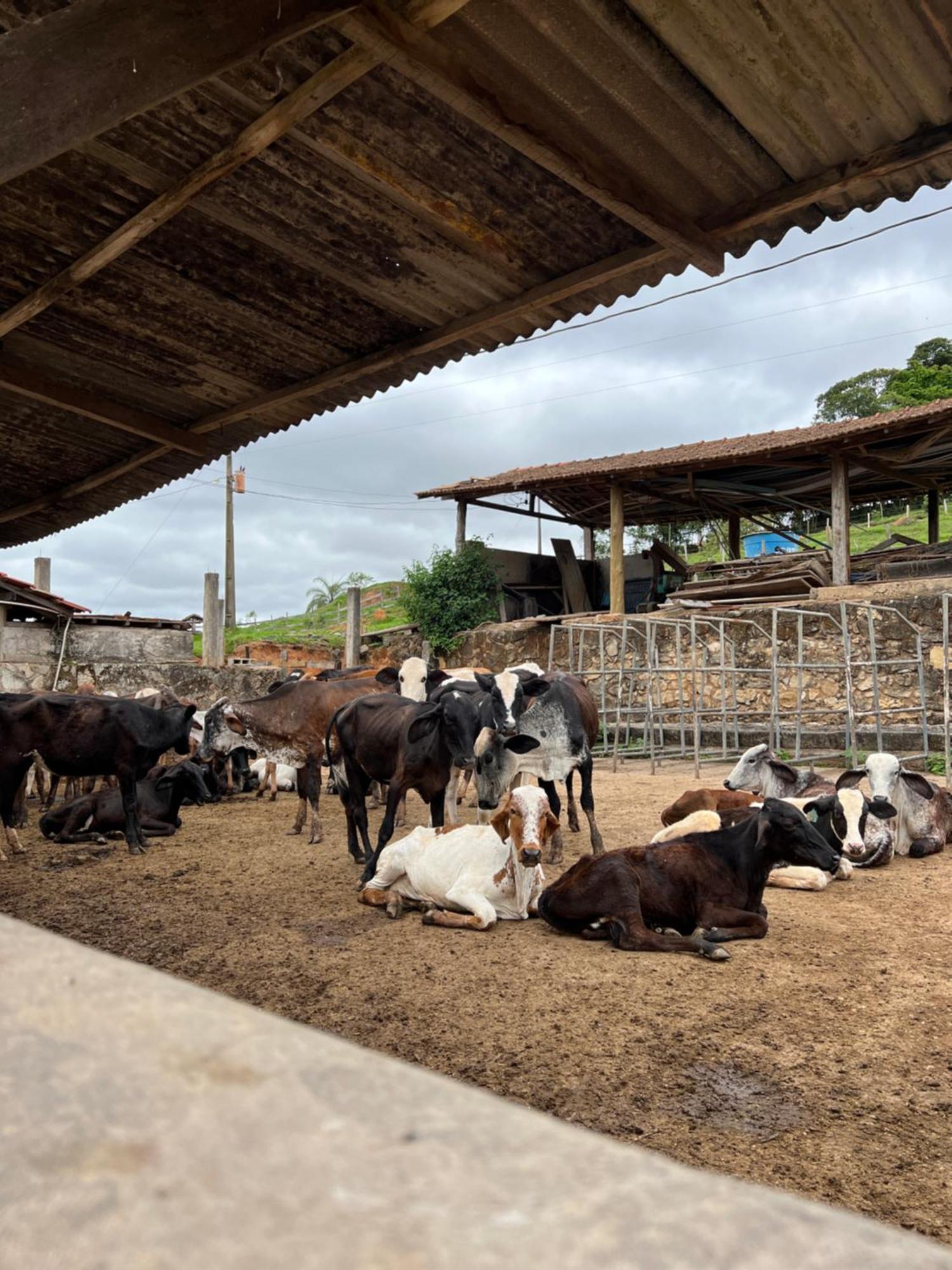 Fazenda Do Engenho Hotel Santa Rita do Rio Abaixo Ngoại thất bức ảnh